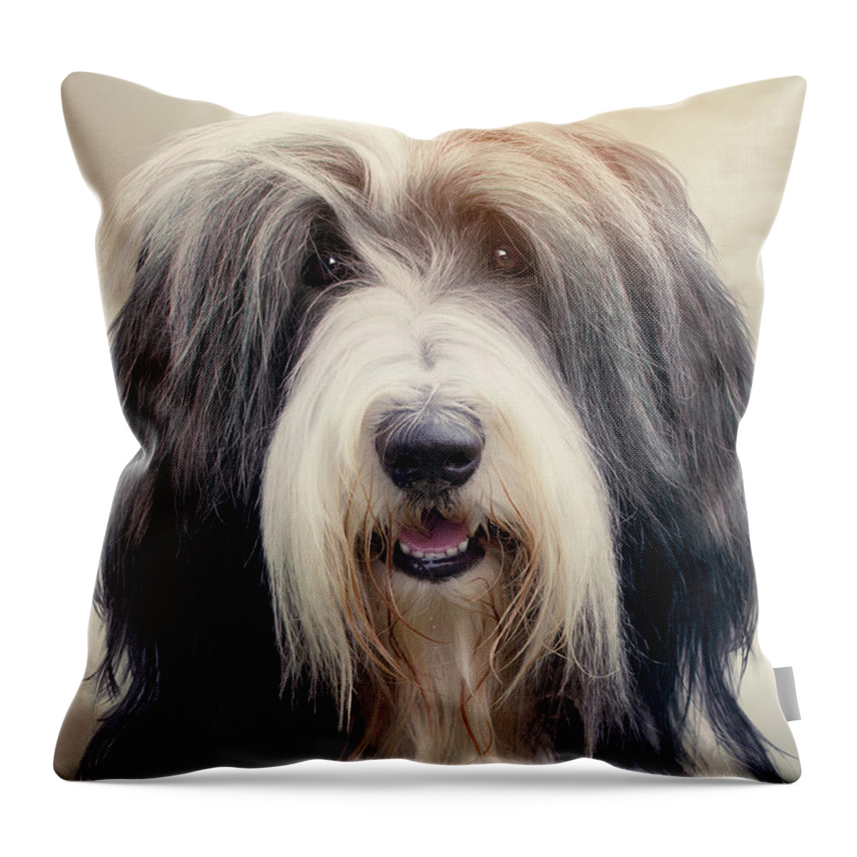 Dog Throw Pillow featuring the photograph Shaggy Dog by Ethiriel Photography