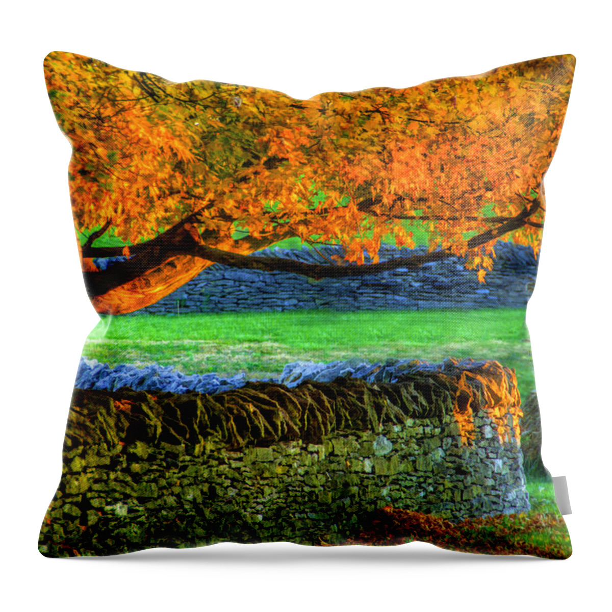 Shaker Throw Pillow featuring the photograph Shaker Stone Fence 1 by Sam Davis Johnson