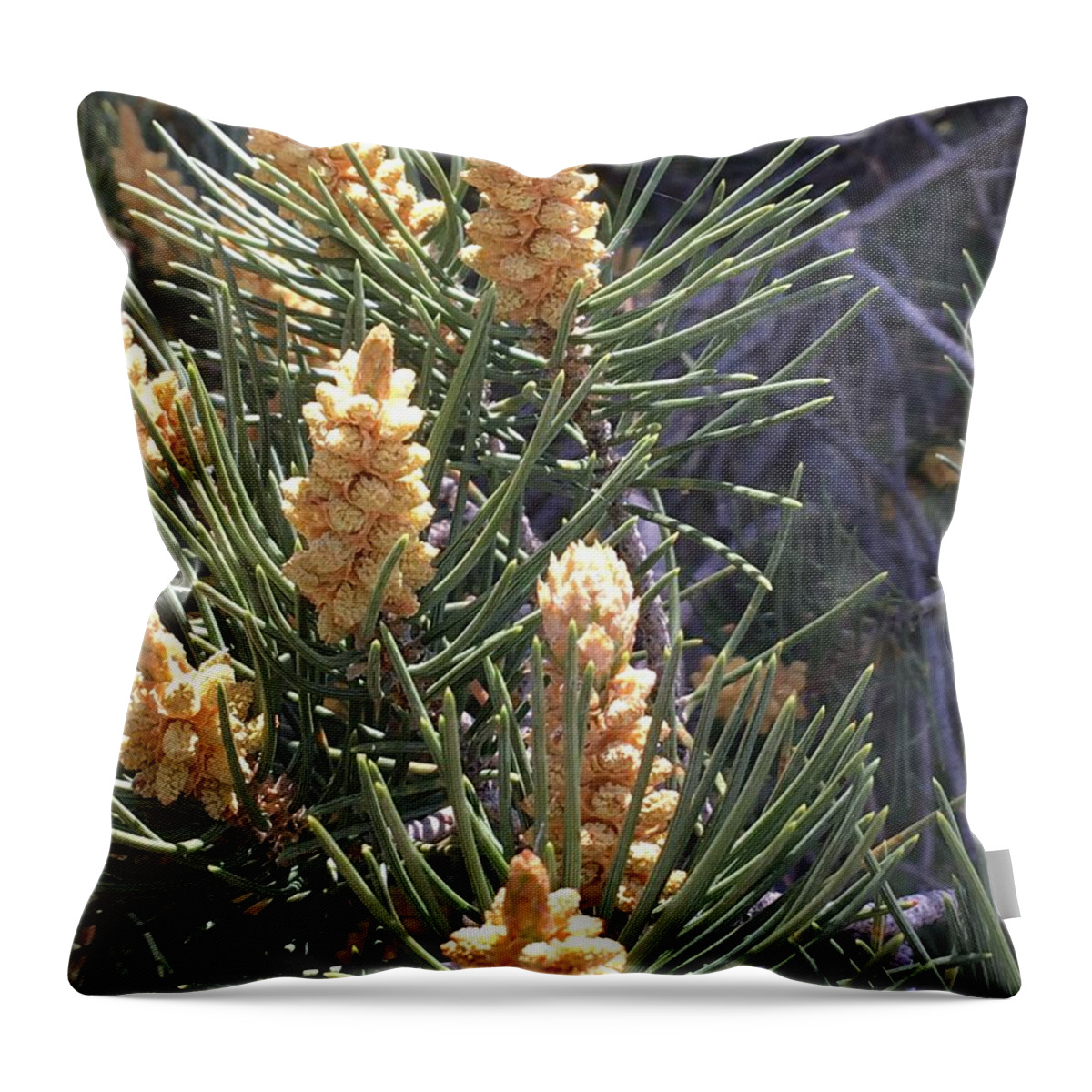 Pine Throw Pillow featuring the photograph Shaking in the Pines by Pamela Henry