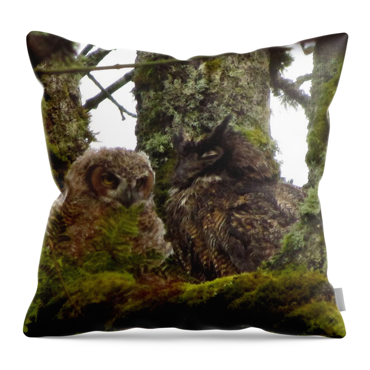 Great Horned Owl And Owlet Throw Pillow featuring the photograph Sharing Ancient Wisdoms by I'ina Van Lawick