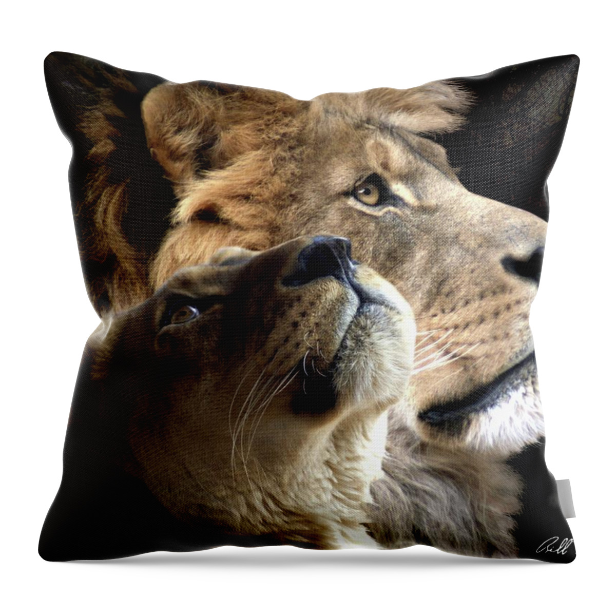 Lions Throw Pillow featuring the digital art Sharing The Vision 2 by Bill Stephens
