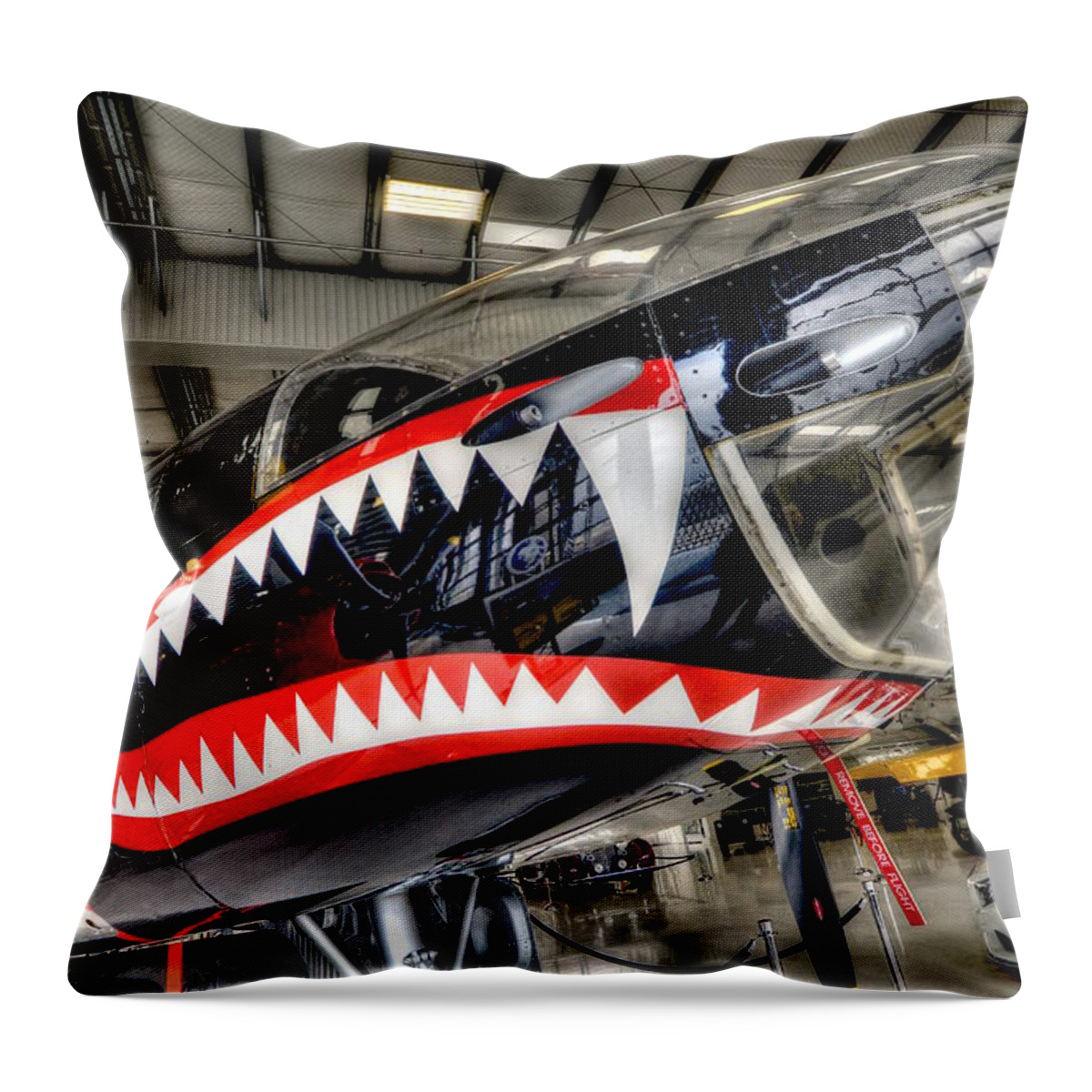 Plane Throw Pillow featuring the photograph Shark Bite by Craig Incardone