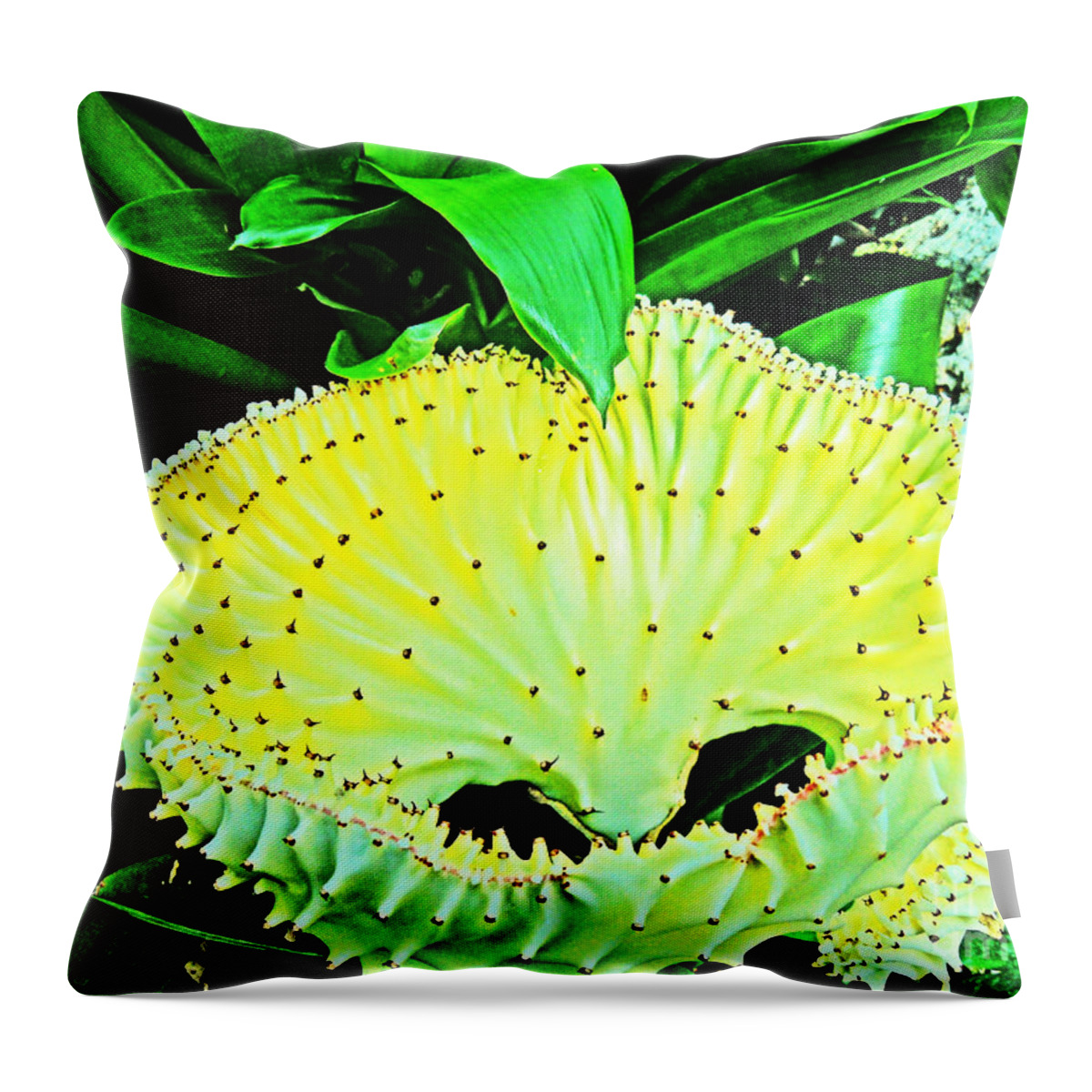  Throw Pillow featuring the photograph Shark Mouth flower in yellows and greens by David Frederick