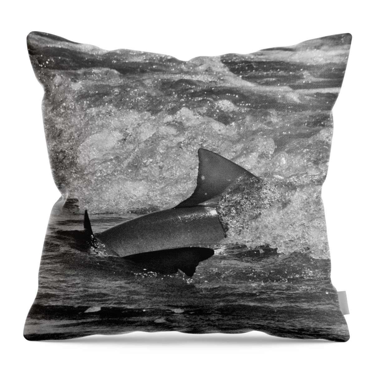 Shark Throw Pillow featuring the photograph Shark by Randy J Heath