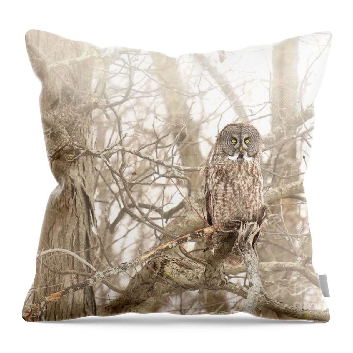 Oneness Throw Pillow featuring the photograph She can see everything through the fog by Heather King