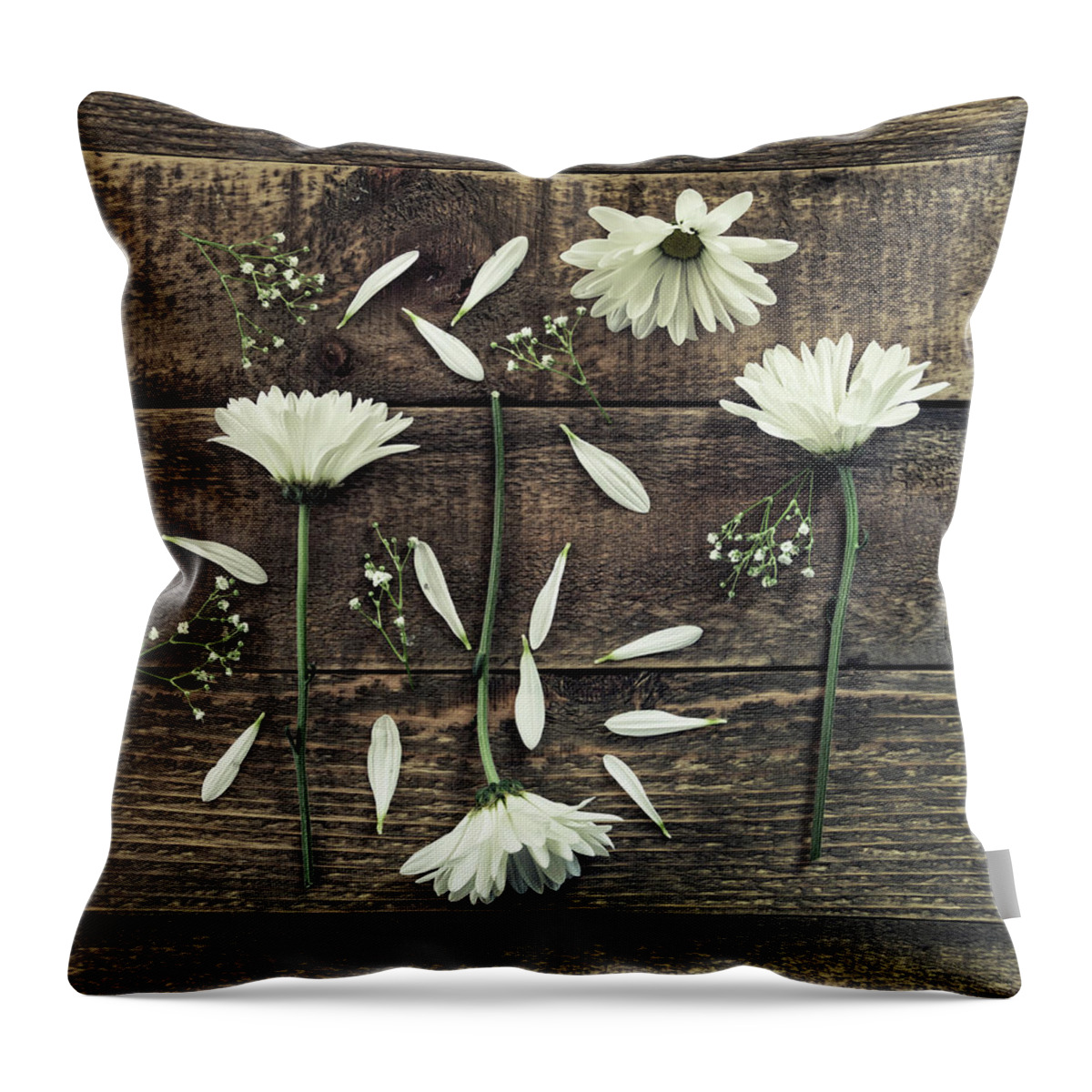 Daisy Throw Pillow featuring the photograph She Loves Me by Kim Hojnacki