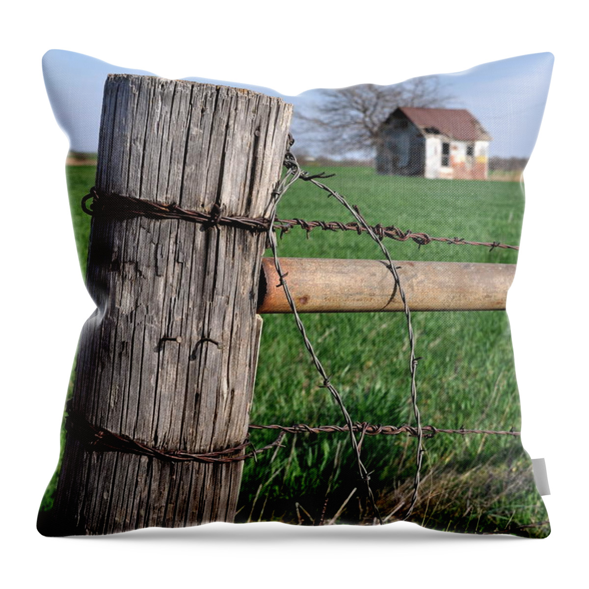 Post Throw Pillow featuring the photograph Shed5 by Anjanette Douglas