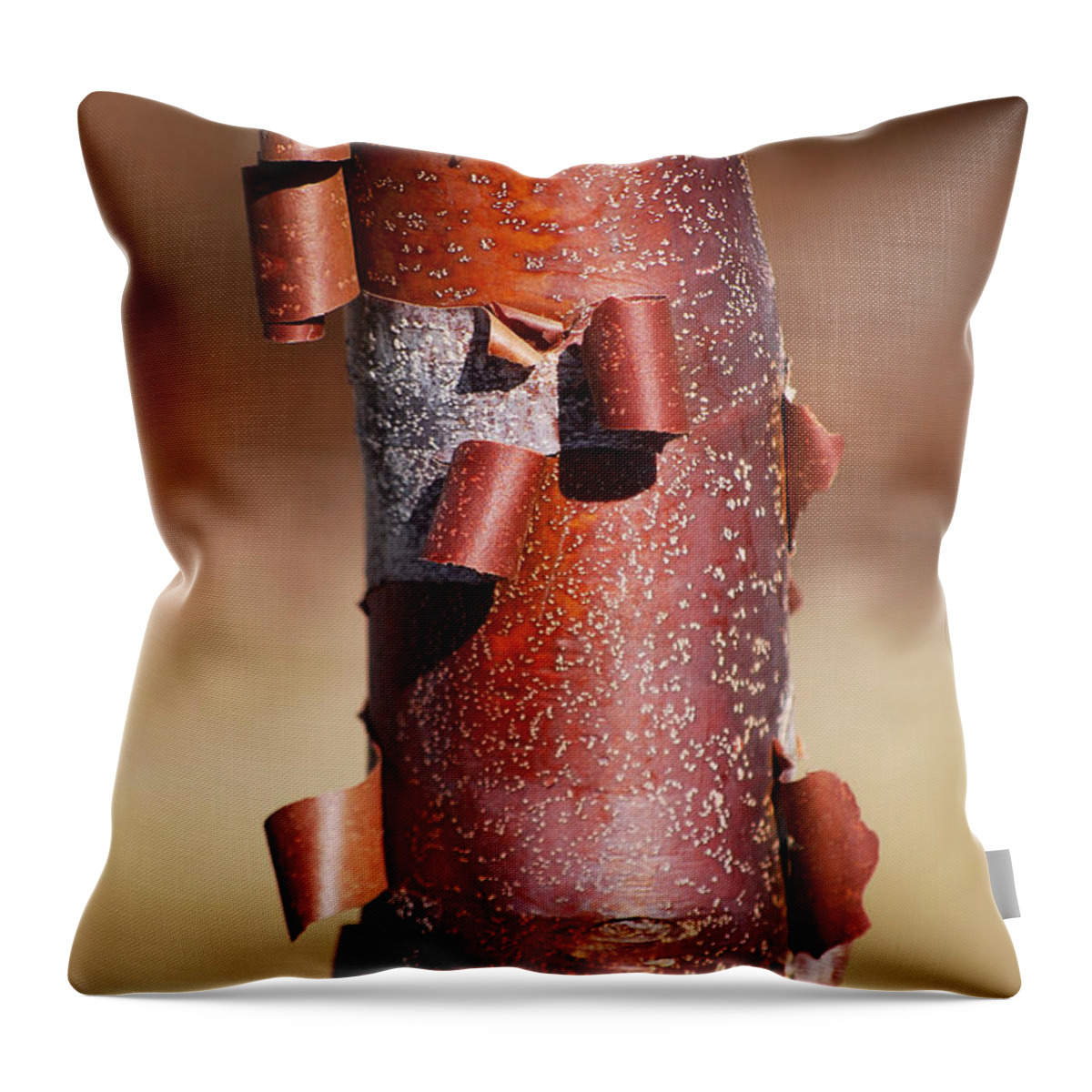 Paperbark Maple Throw Pillow featuring the photograph #sheddingthepast by Becky Furgason