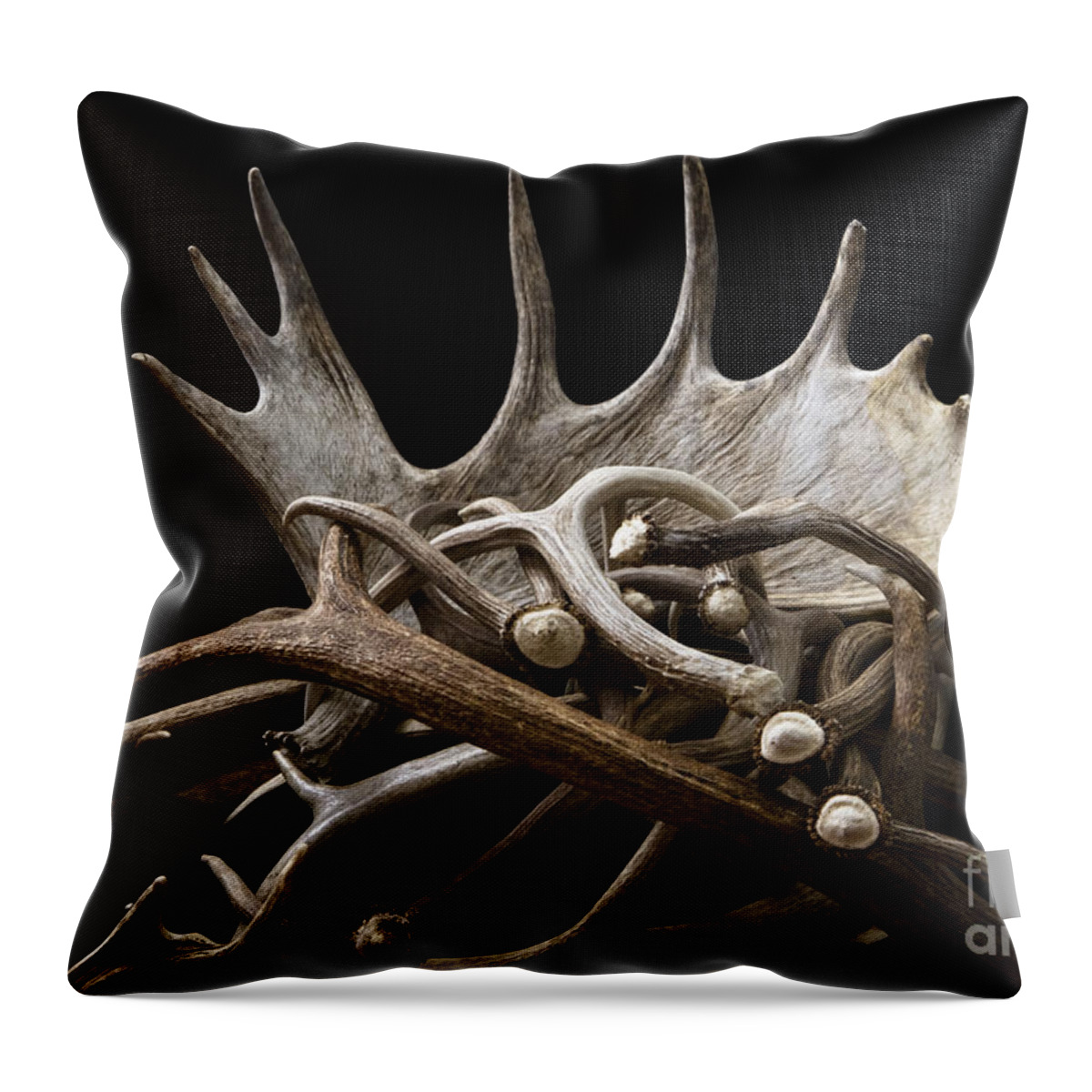 Shed Antlers Throw Pillow featuring the photograph Sheds by Edward R Wisell