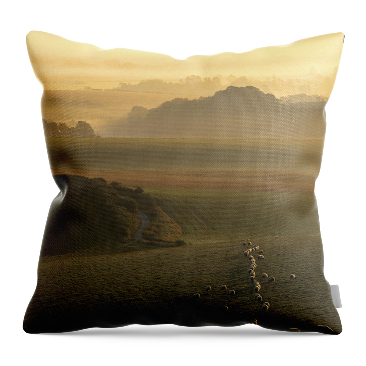 Misty Throw Pillow featuring the photograph Sheep and misty South Downs by Hazy Apple