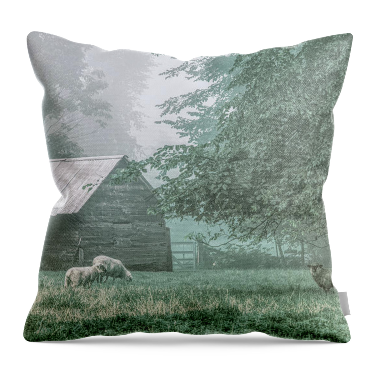 Sheep Throw Pillow featuring the photograph Sheep. Jericho, Vermont by George Robinson