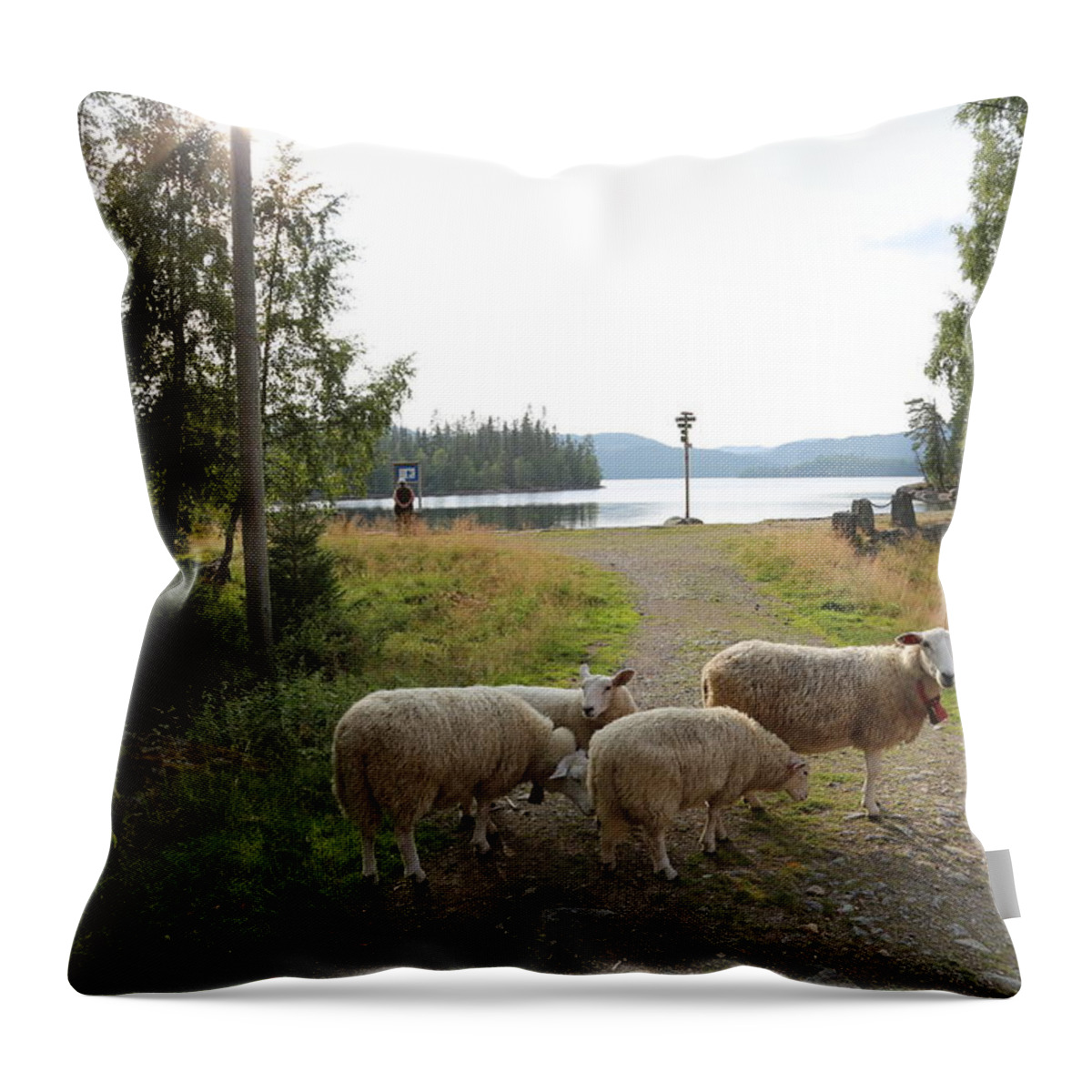 Sheep Animal Farm Animals Waterfront Water Summer Woods Forrest Outdoors Trees View Panorama Reflection Plants Vegetation Sky Tree Hiking Fieldtrip Norway Scandinavia Europe Landscape Water Photo Throw Pillow featuring the digital art Sheeps by the Lake by Jeanette Rode Dybdahl