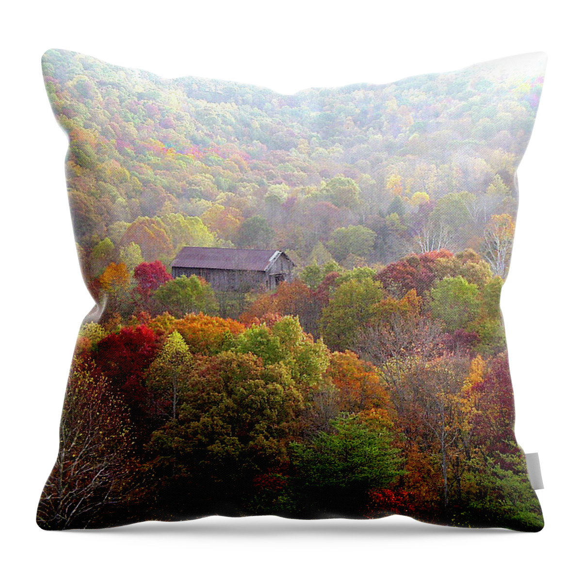 Elliott Throw Pillow featuring the photograph Sheepskin Colors by Randall Evans