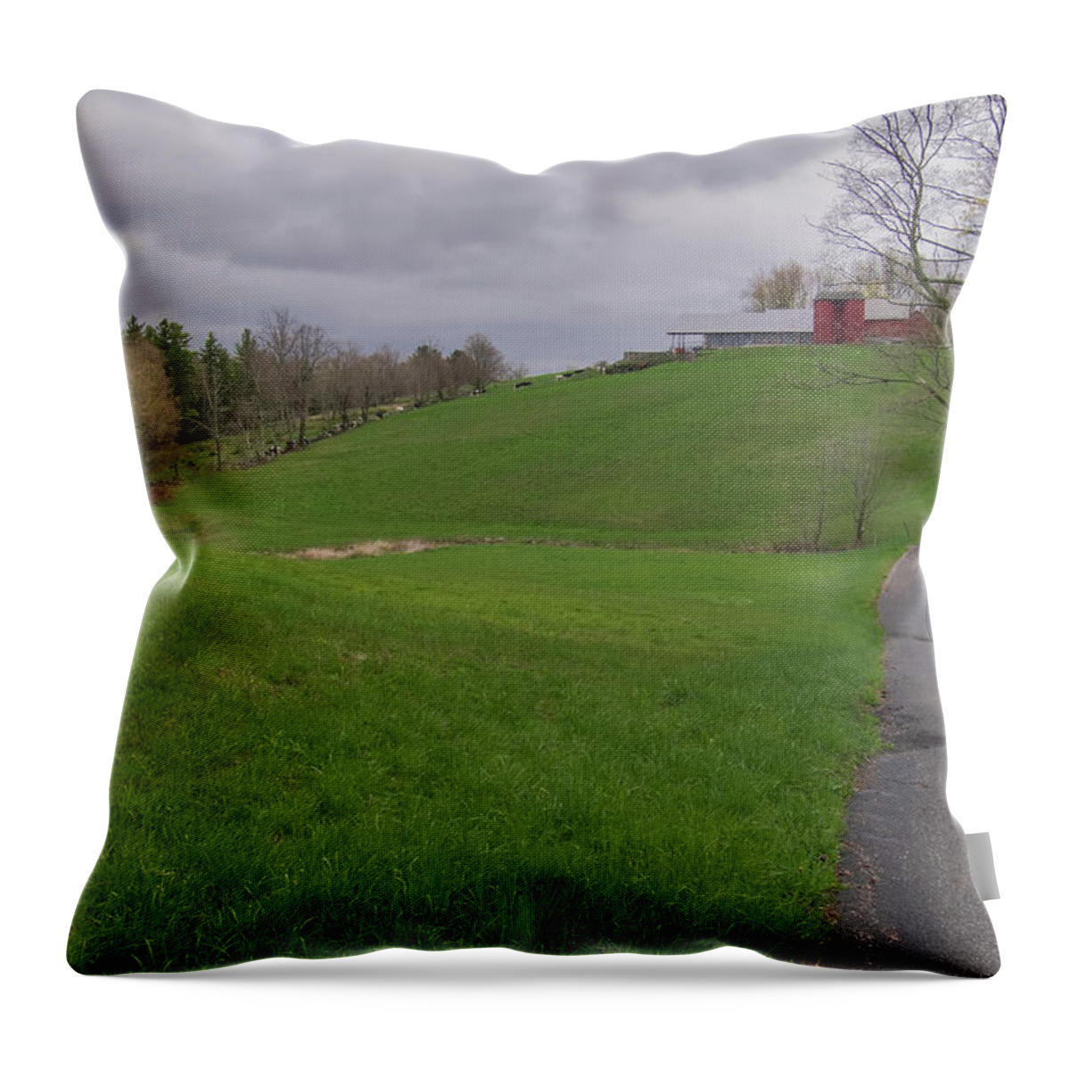Shelburne Falls Massachusetts Throw Pillow featuring the photograph Shelburne Country Road by Tom Singleton