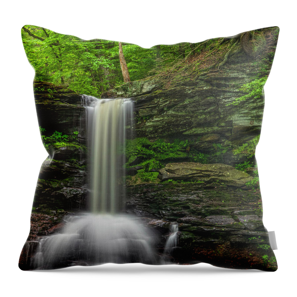 Ricketts Glen State Park Throw Pillow featuring the photograph Sheldon Falls In Early Morning Light by Angelo Marcialis