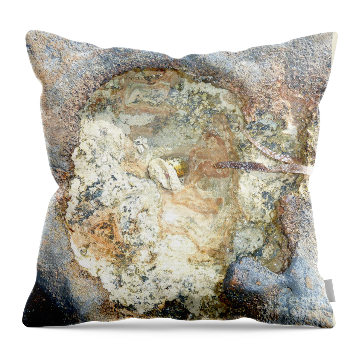 Photography Throw Pillow featuring the photograph Shell in Rock by Francesca Mackenney