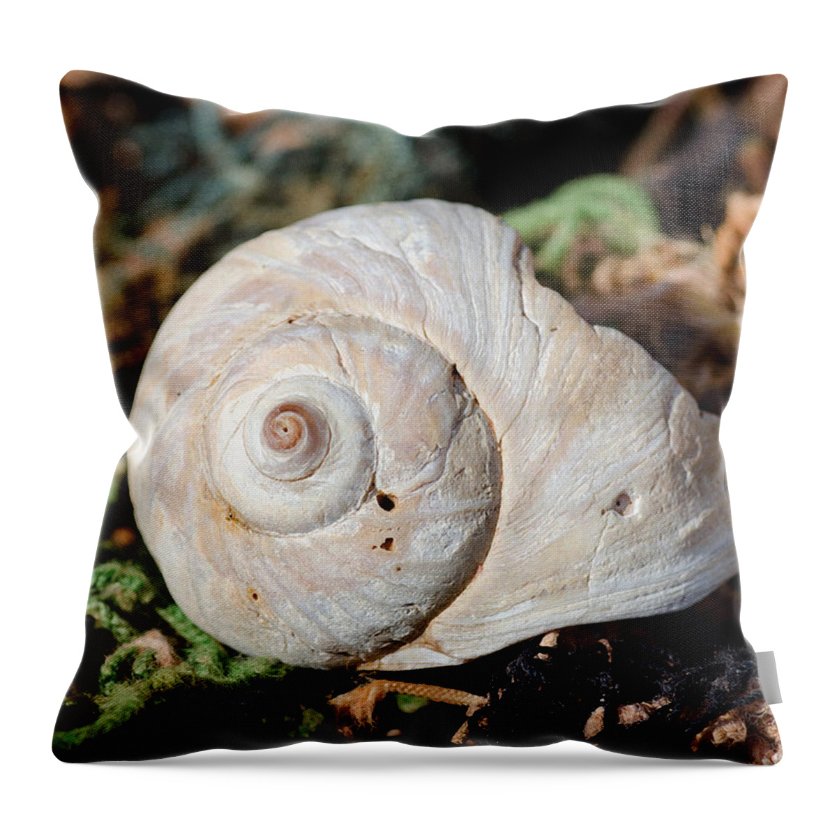 Sea Shell Throw Pillow featuring the photograph Shell Net 1 by WB Johnston