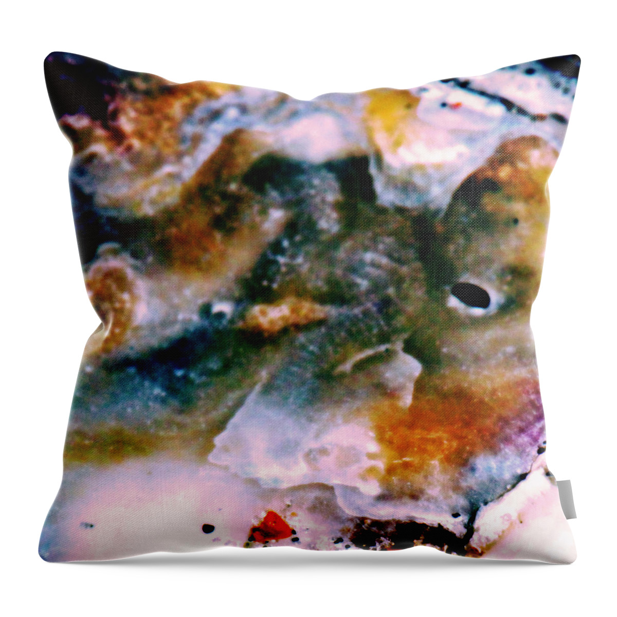 Shell Throw Pillow featuring the photograph Shell Treasure Story by Gina O'Brien