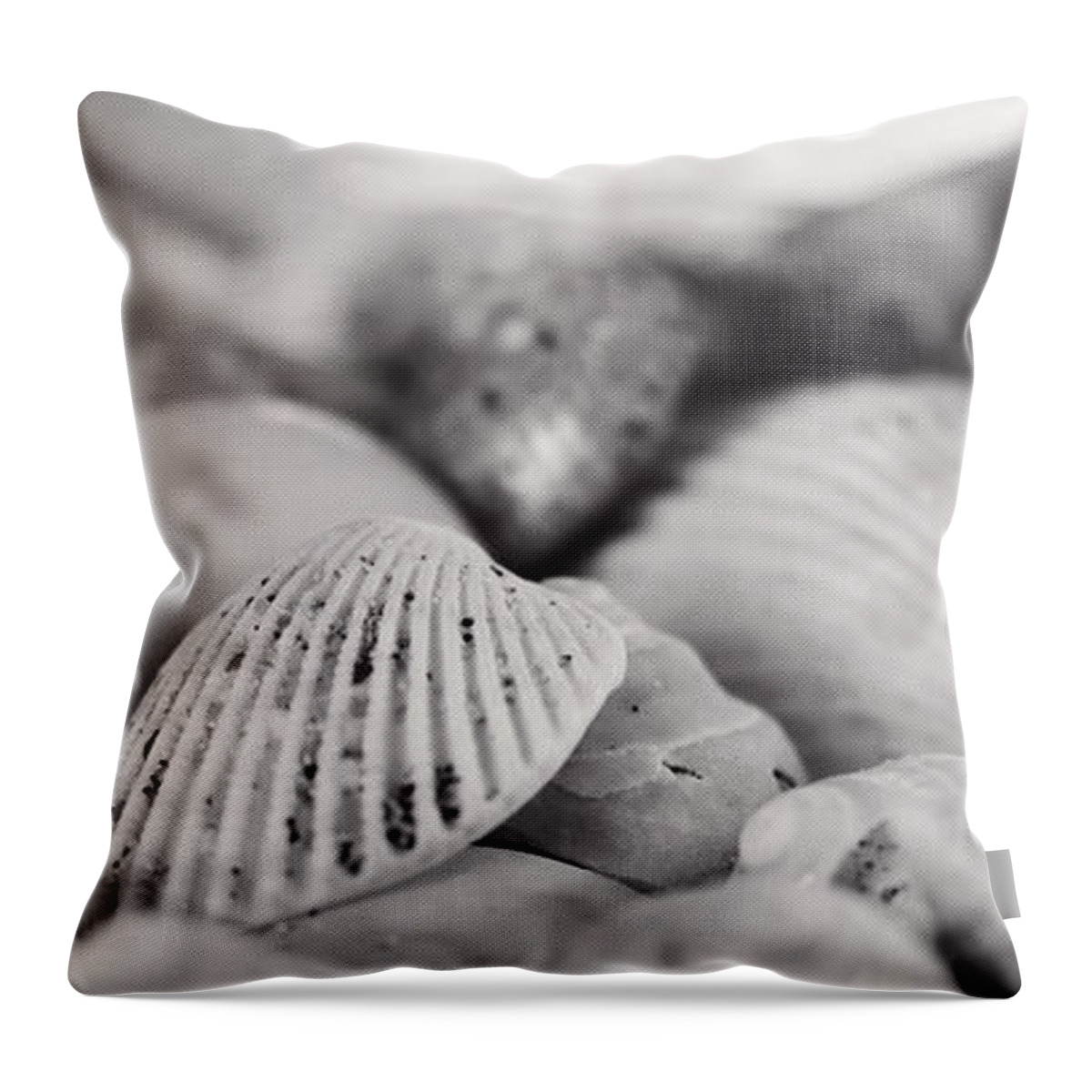 Monochrome Throw Pillow featuring the photograph Shells XV by Cassandra Buckley