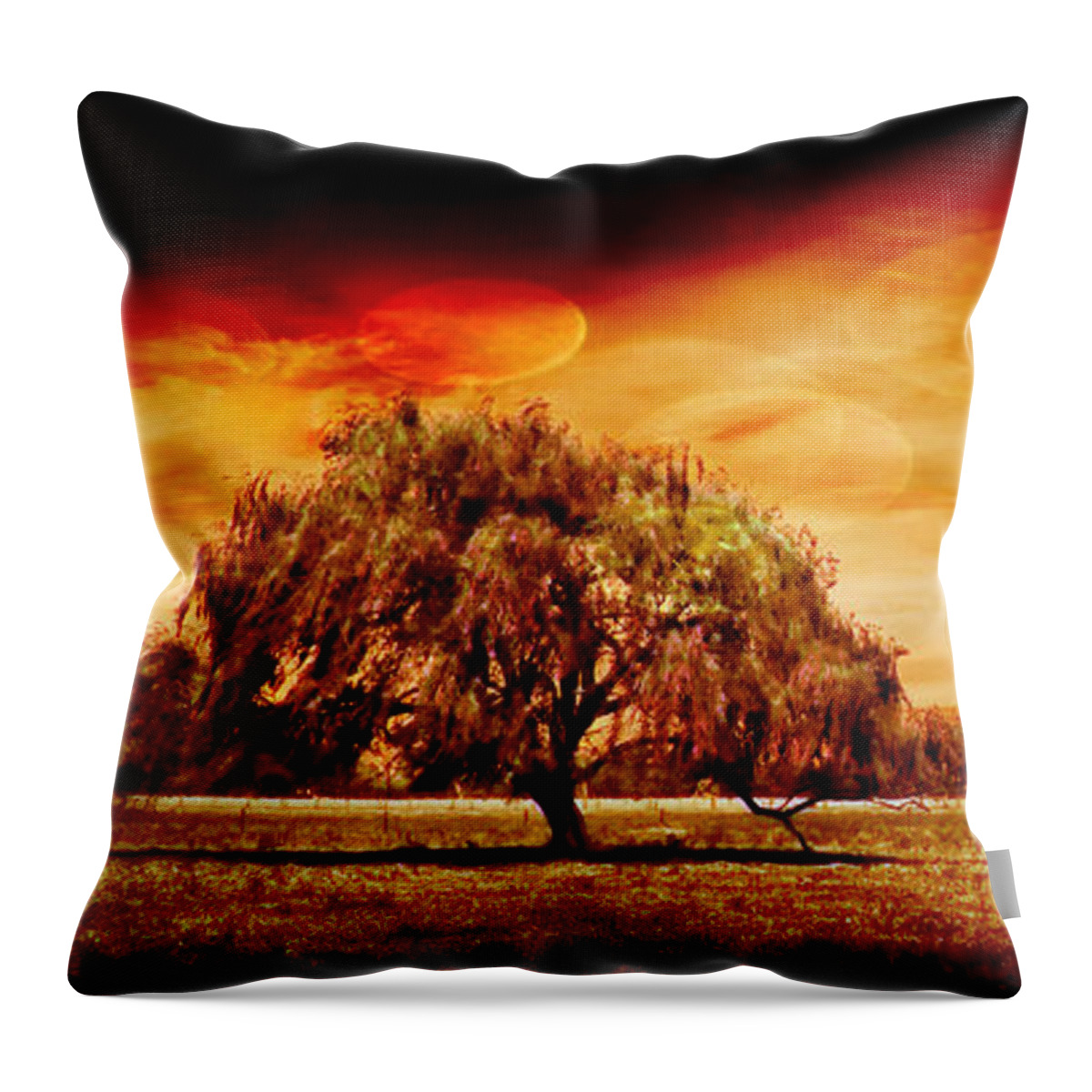 Tree Throw Pillow featuring the photograph Shelter by Az Jackson
