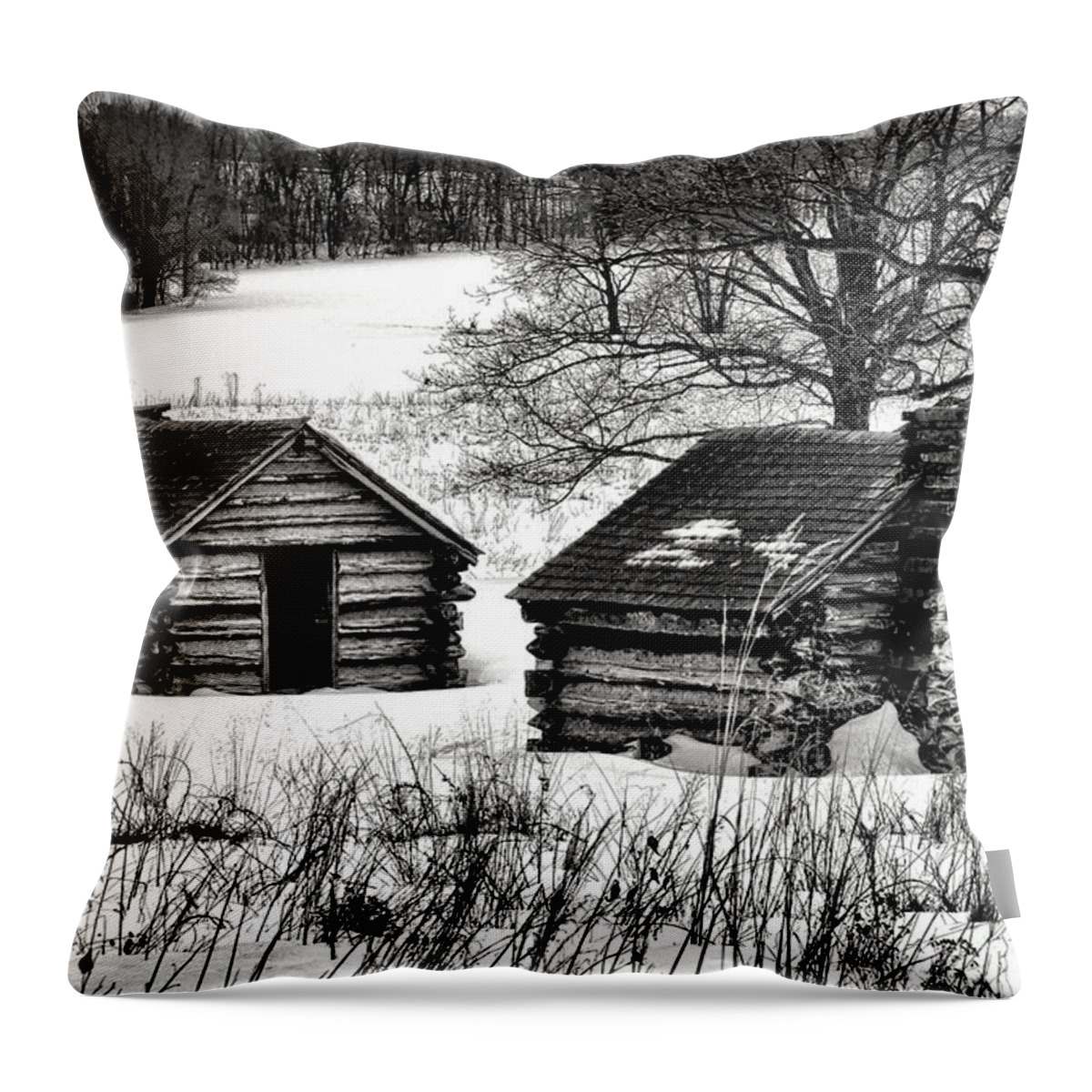 Valley Throw Pillow featuring the photograph Shelter the Soldiery by Olivier Le Queinec