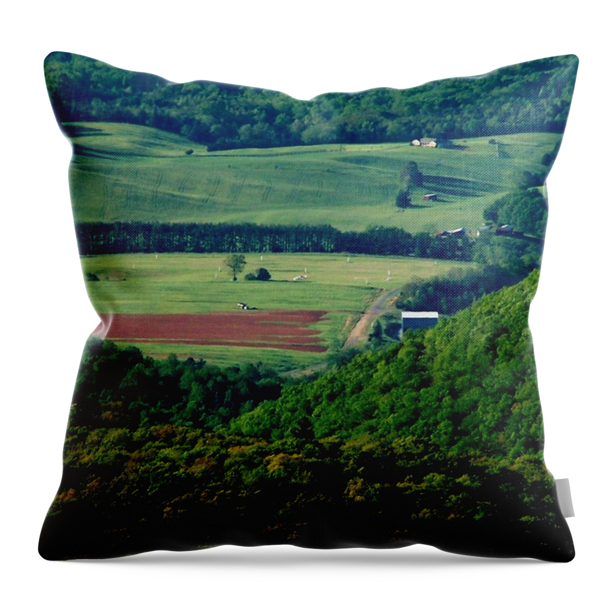 Green Throw Pillow featuring the photograph Shenandoah Valley 2 by Eileen Brymer