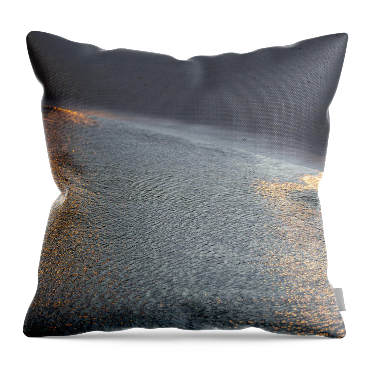 Water Throw Pillow featuring the photograph Shimmer by Lara Morrison