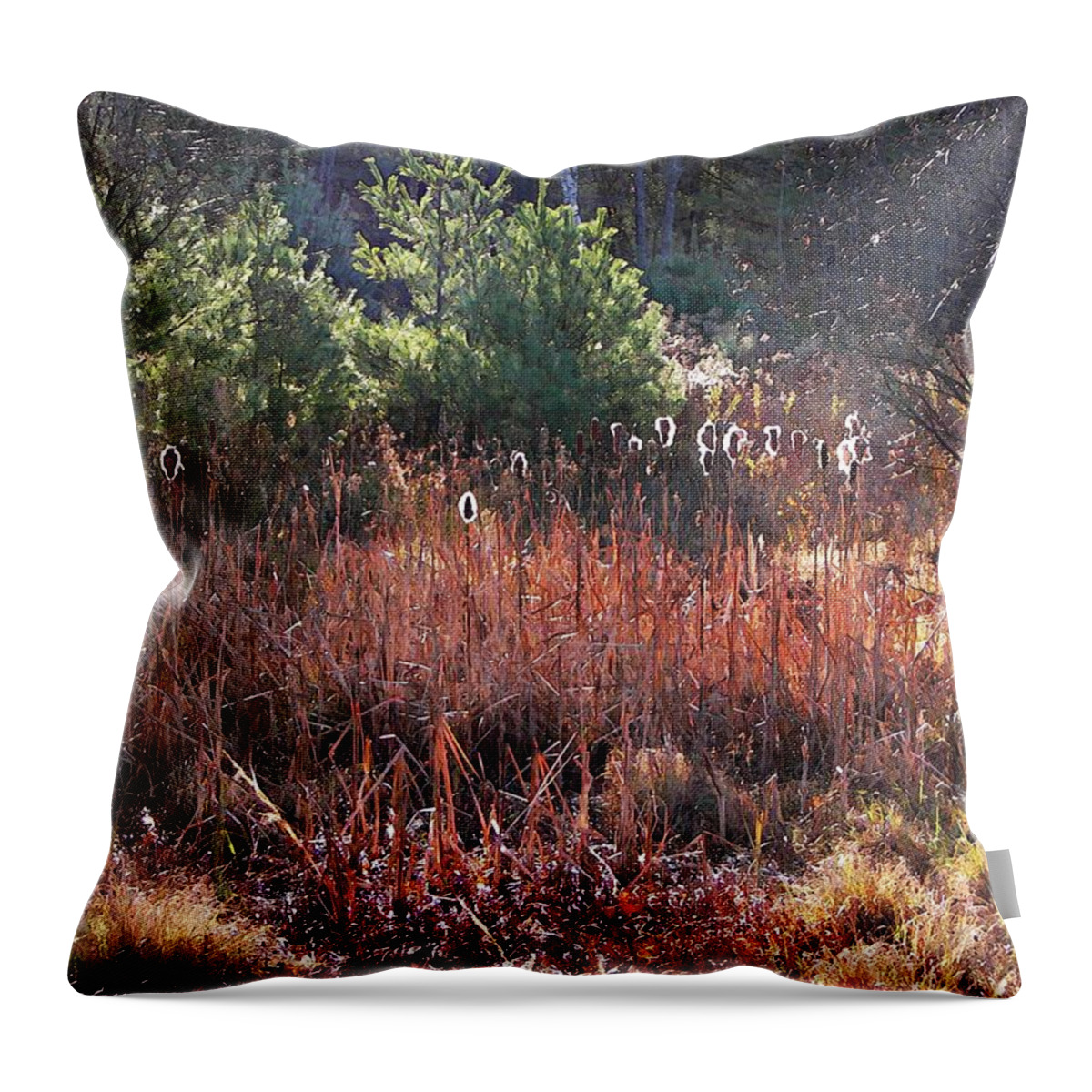 Shimmering Sunlight On The Cattails Throw Pillow featuring the photograph Shimmering Sunlight On The Cattails by Joy Nichols