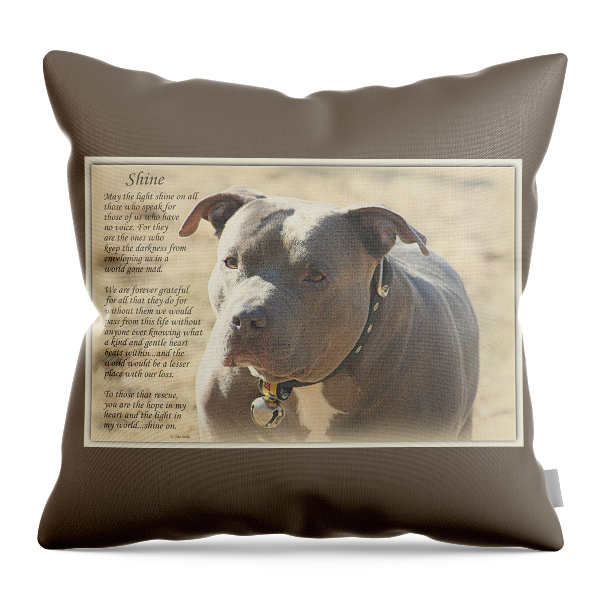 Quote Throw Pillow featuring the photograph Shine by Sue Long
