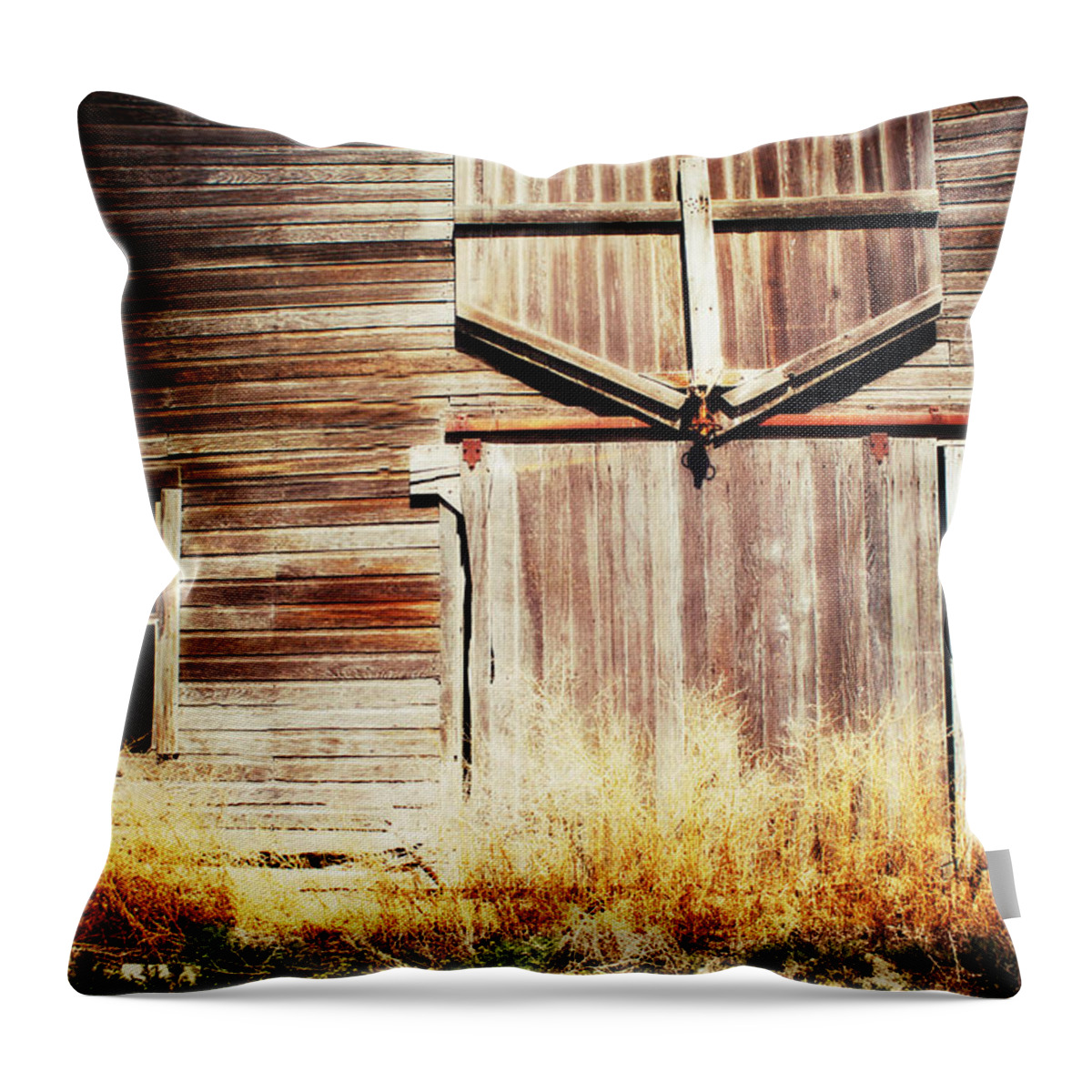 Barn Throw Pillow featuring the photograph Shine the light on Me by Julie Hamilton
