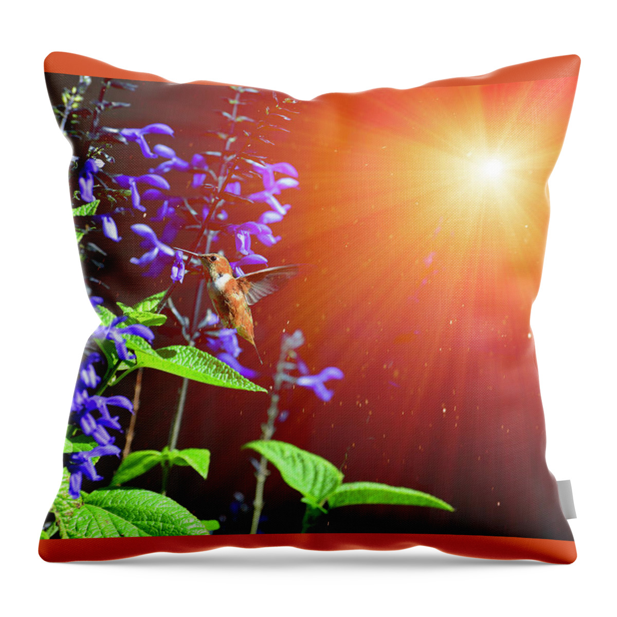 Hummingbirds Throw Pillow featuring the photograph Shining Star of the Garden by Lynn Bauer