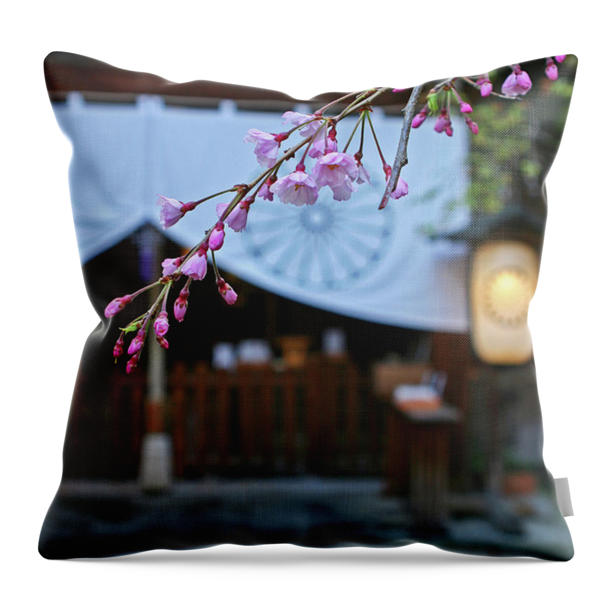 Shinto Throw Pillow featuring the photograph Shinto Blessing by Marcel Stevahn