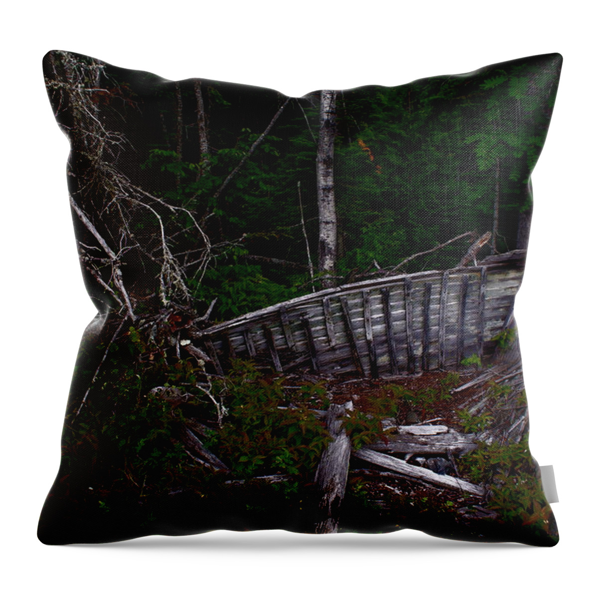 Boat Throw Pillow featuring the photograph Ship Wrecked by Jo Smoley