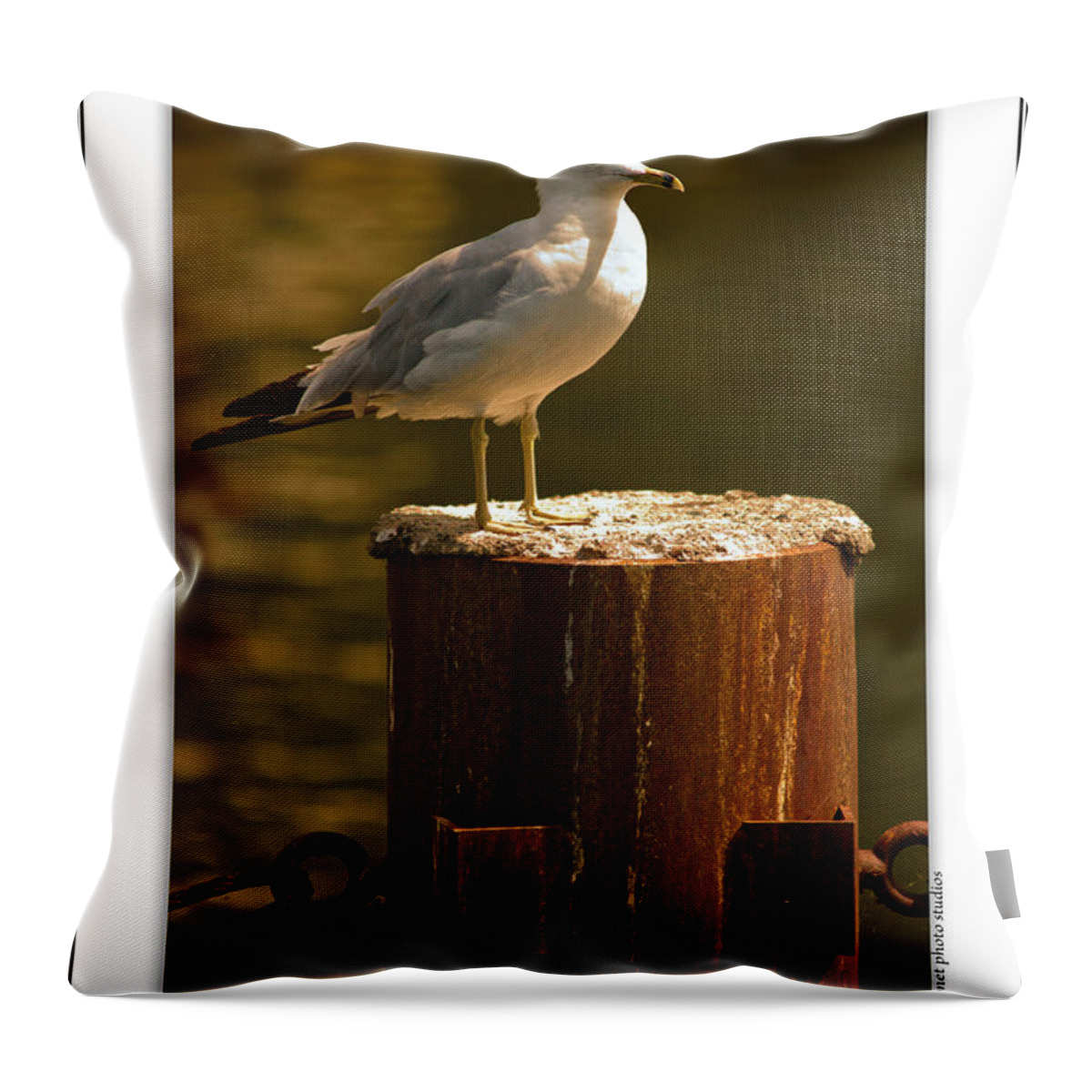 Bill Throw Pillow featuring the photograph Shit Happens When You Stand Around Doing Nothing by Onyonet Photo studios