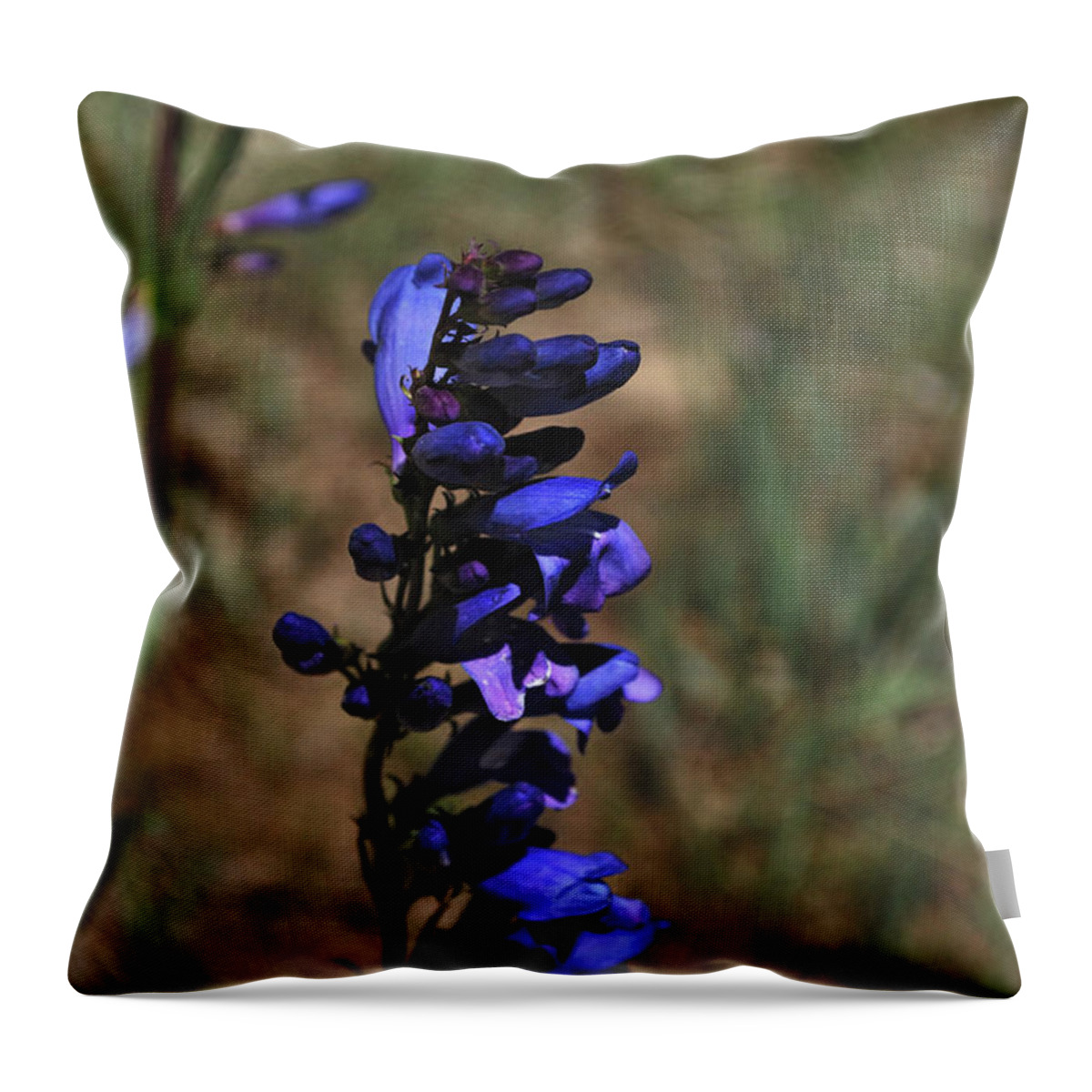 Nature Throw Pillow featuring the photograph Shocking Blue by Ron Cline