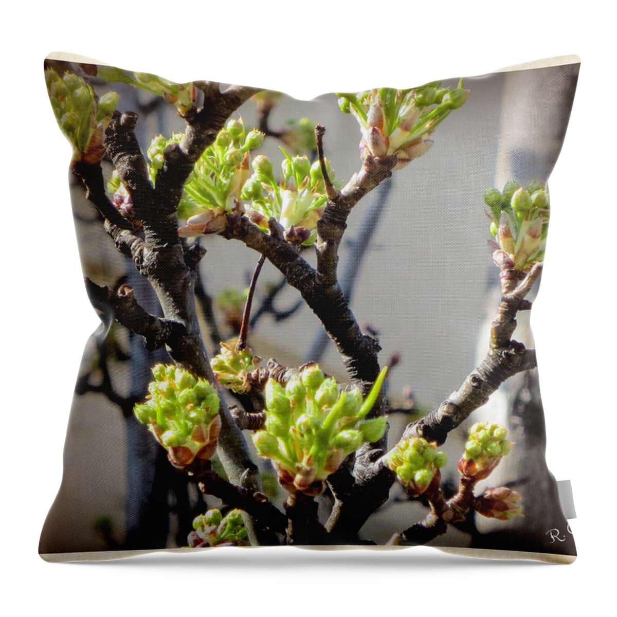 Trees Throw Pillow featuring the painting Shooting Forth by Renette Coachman