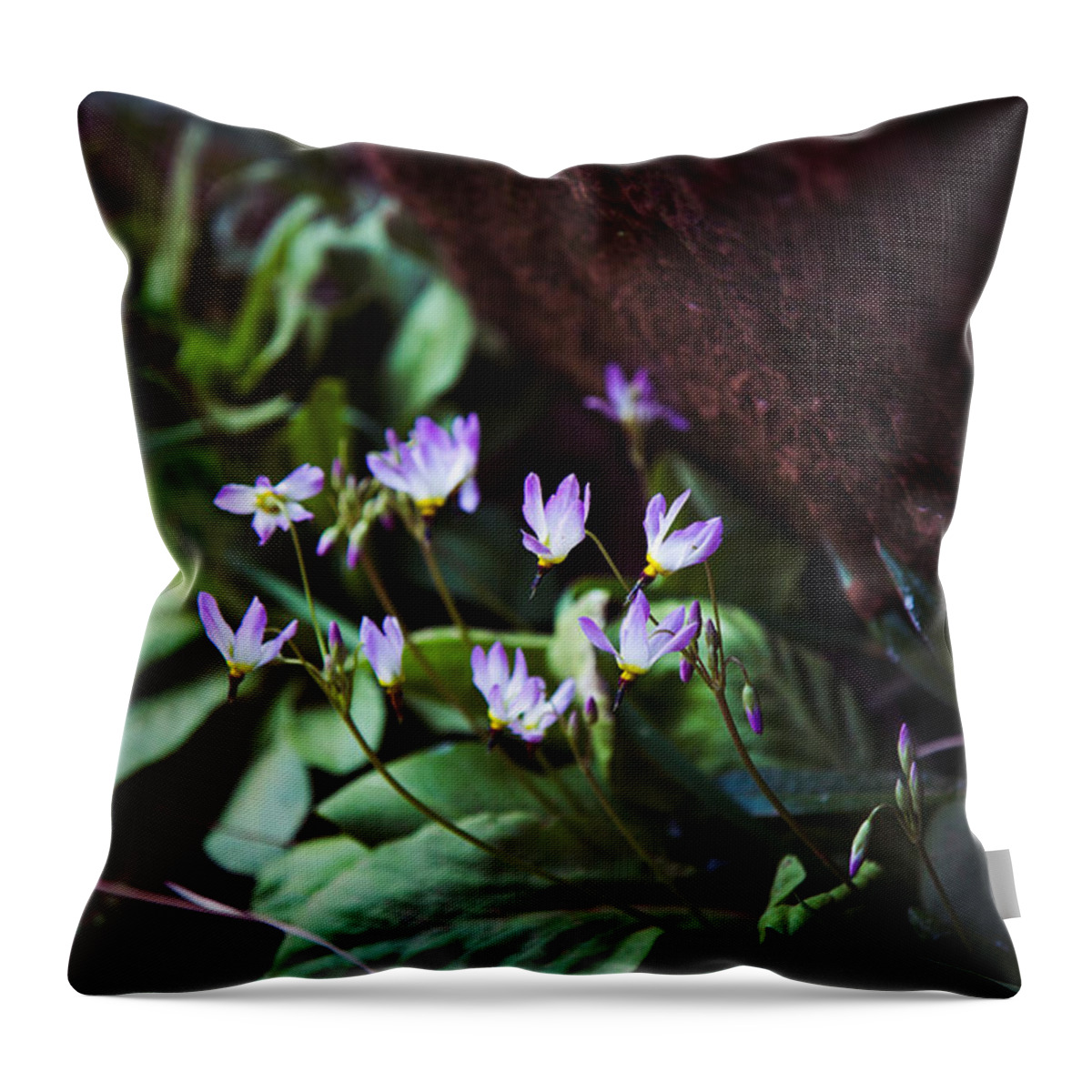 Flowers Throw Pillow featuring the photograph Shooting Stars by Laura Roberts