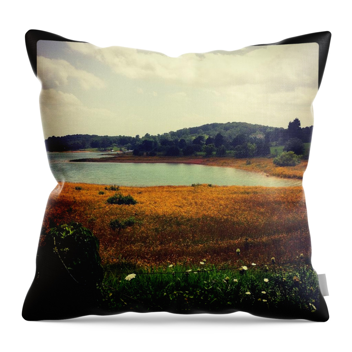 Landscape Throw Pillow featuring the photograph Shore of Flowers by Ashley Lloyd