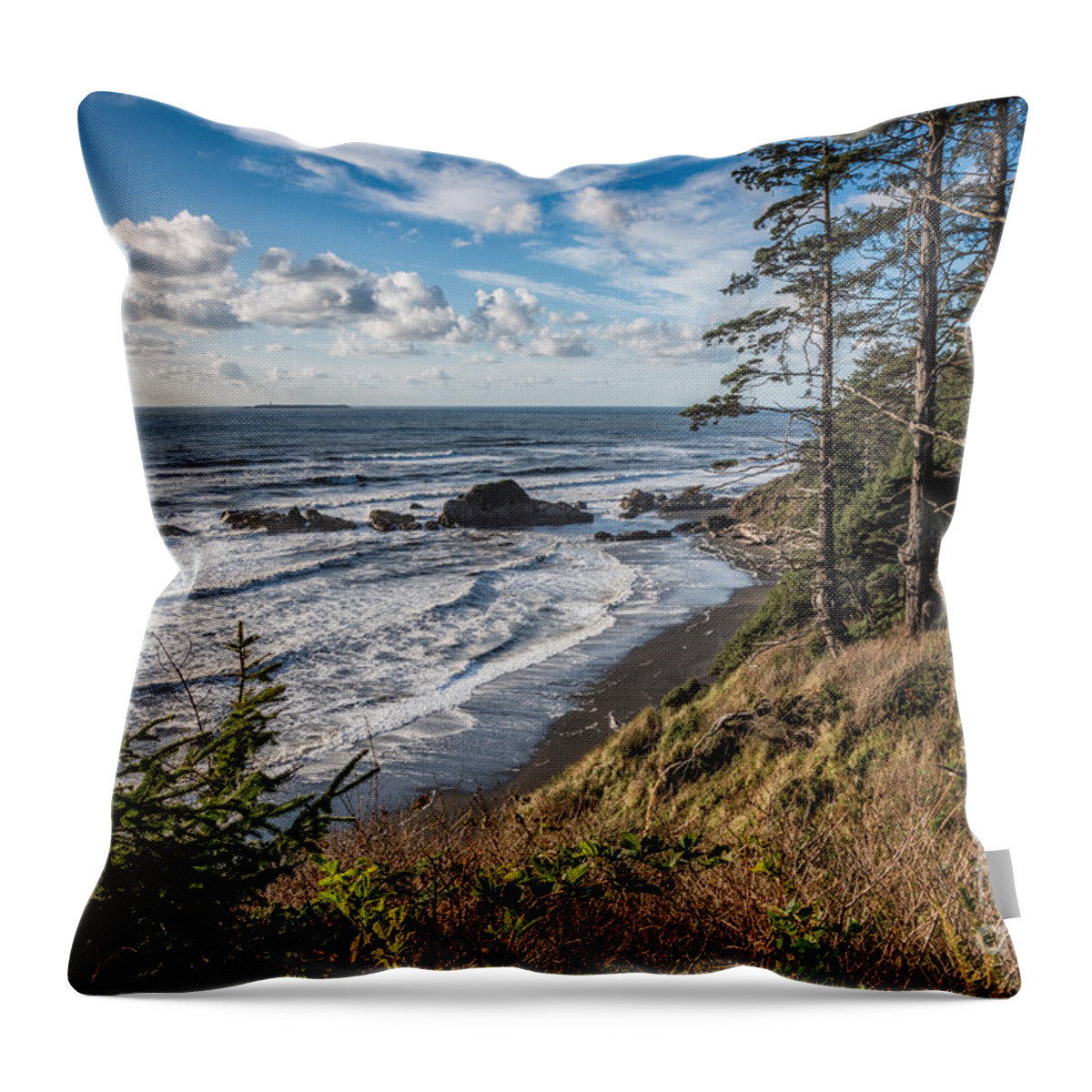 Beach Throw Pillow featuring the photograph Shoreline At Beach 4 by Al Andersen