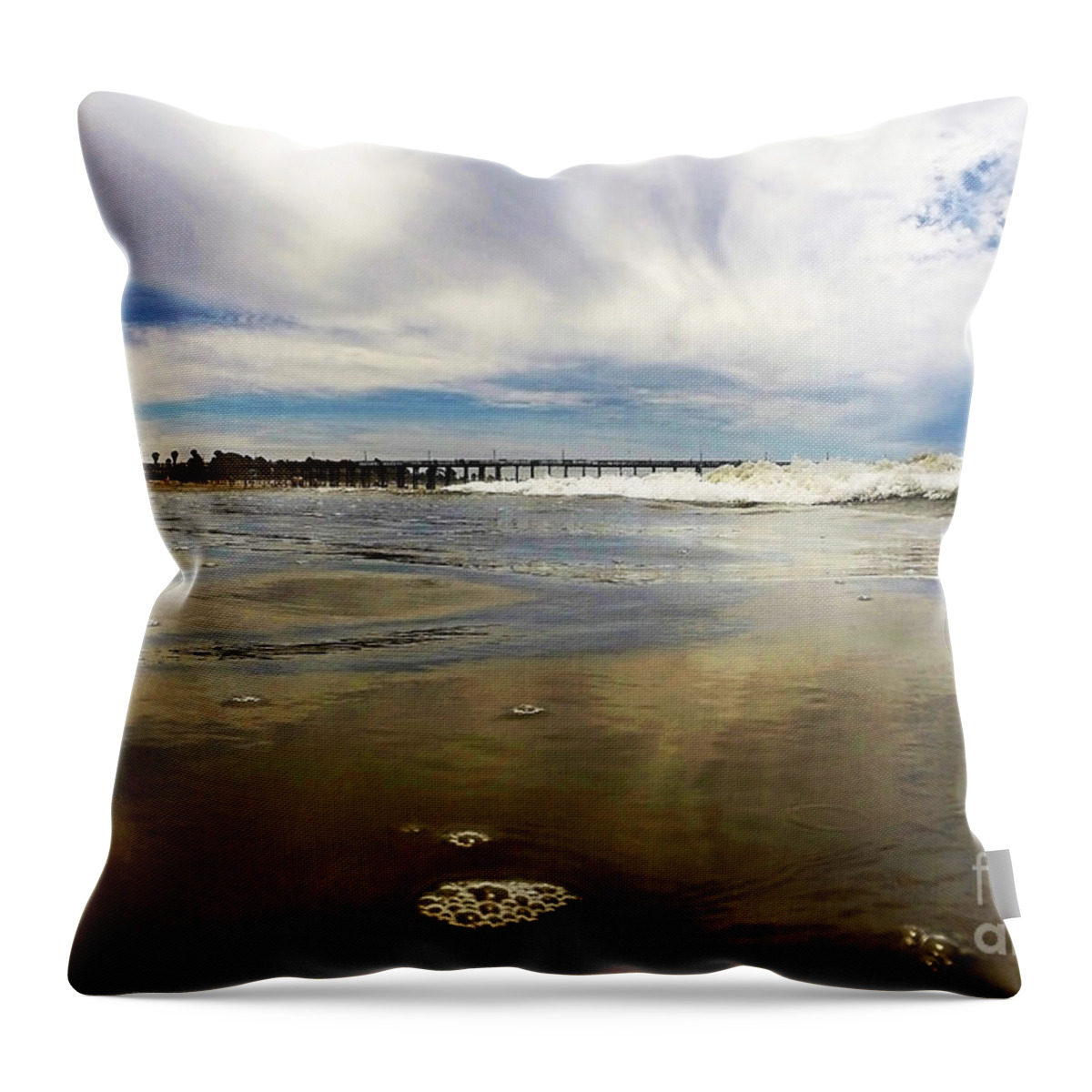  Water Throw Pillow featuring the photograph Shoreline by Dan Holm