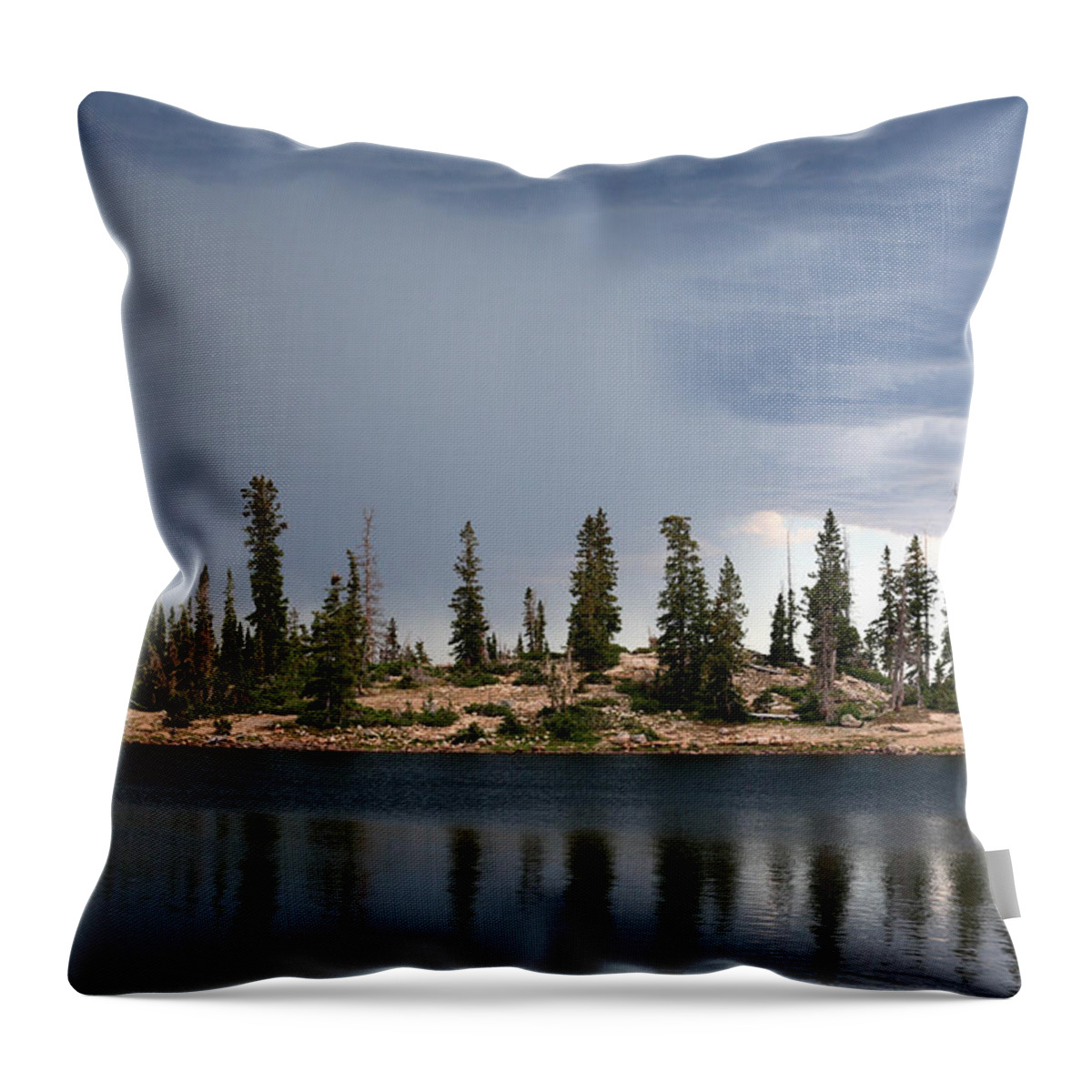 Landscape Throw Pillow featuring the photograph Shoreline Pine Trees and Storm by Brett Pelletier