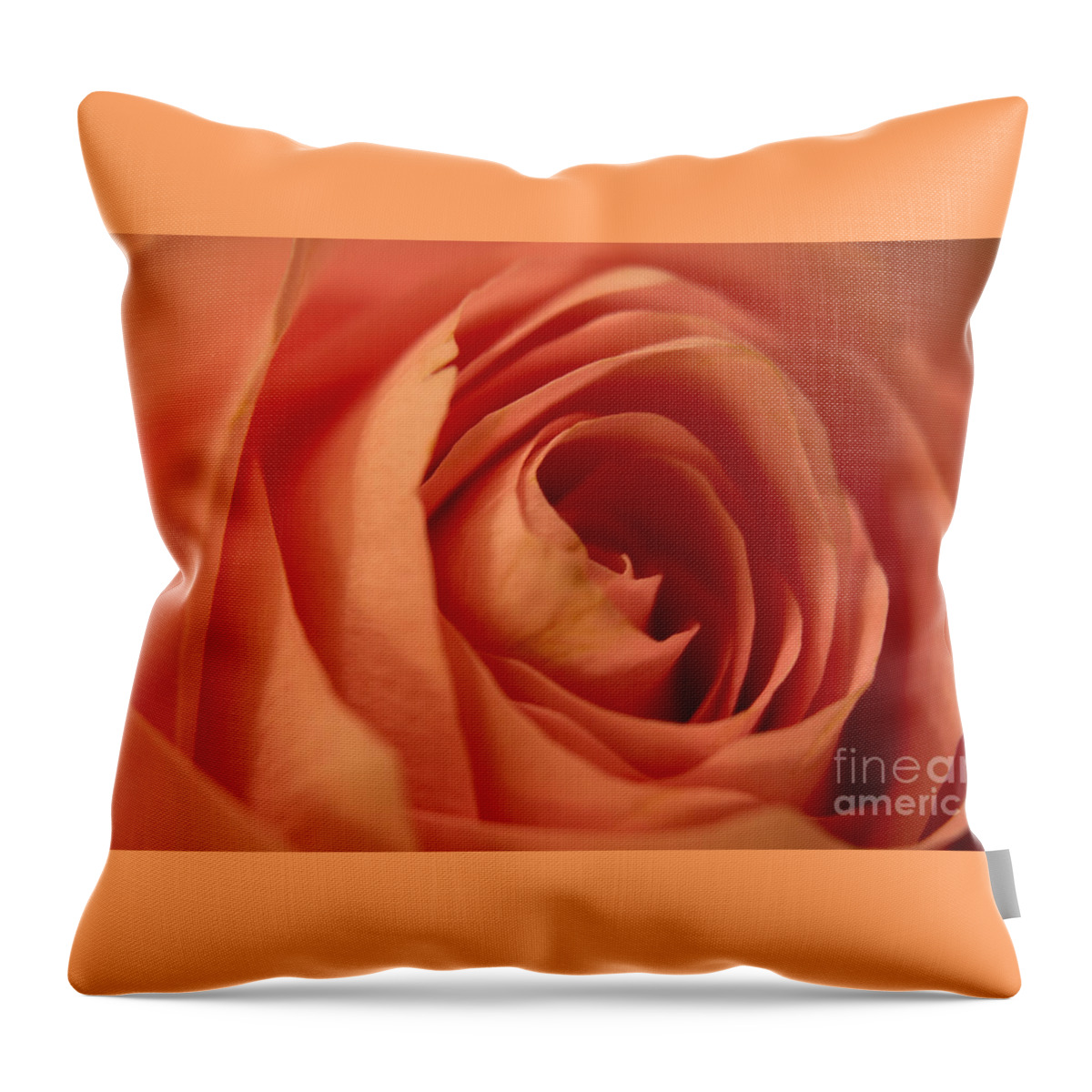 Rose Throw Pillow featuring the photograph Should Have Been by Lisa Knauff