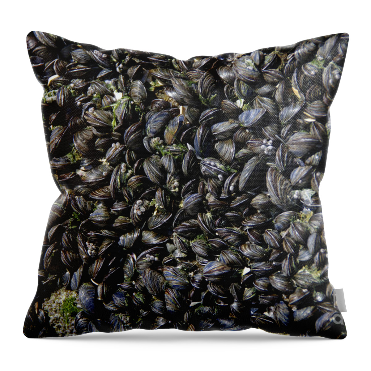Mussel Throw Pillow featuring the photograph Show Us Your Mussels by Scott Evers