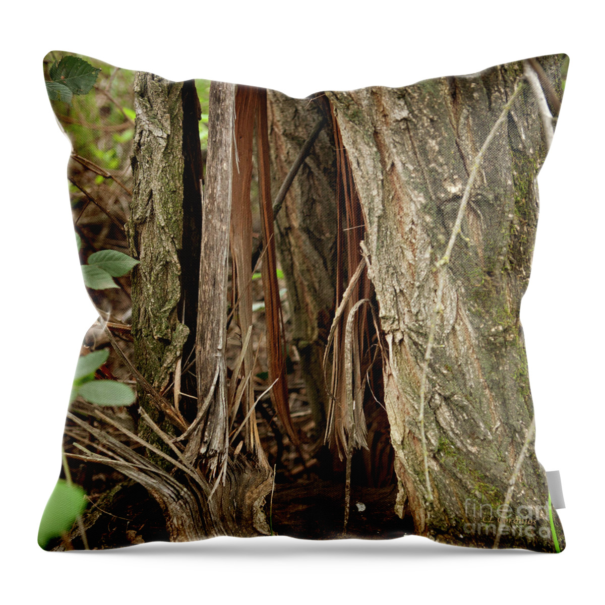 Anderson River Park Throw Pillow featuring the photograph Shredded Tree by Carol Lynn Coronios