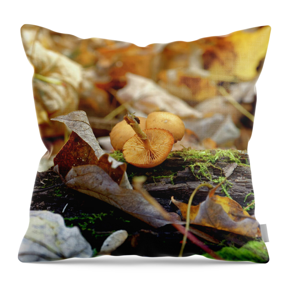 Mushrooms Throw Pillow featuring the photograph 'Shrooms by Peter Ponzio