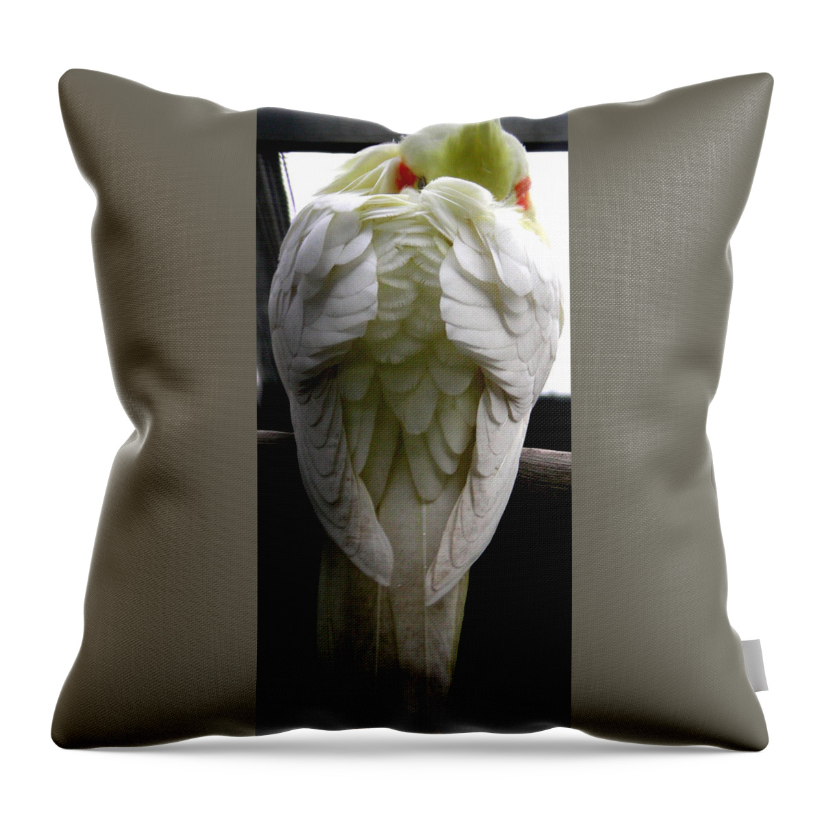 Nature Throw Pillow featuring the digital art Shy Birdie by Jean Wolfrum