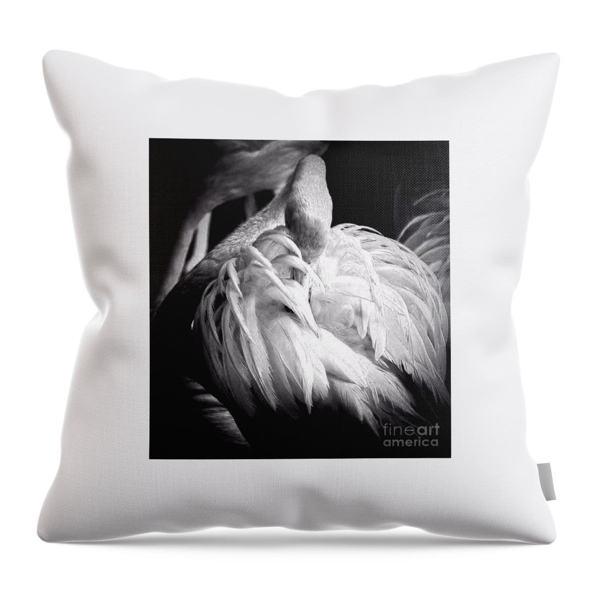 Flamingo Throw Pillow featuring the photograph Shy Flamingo BW by Toma Caul