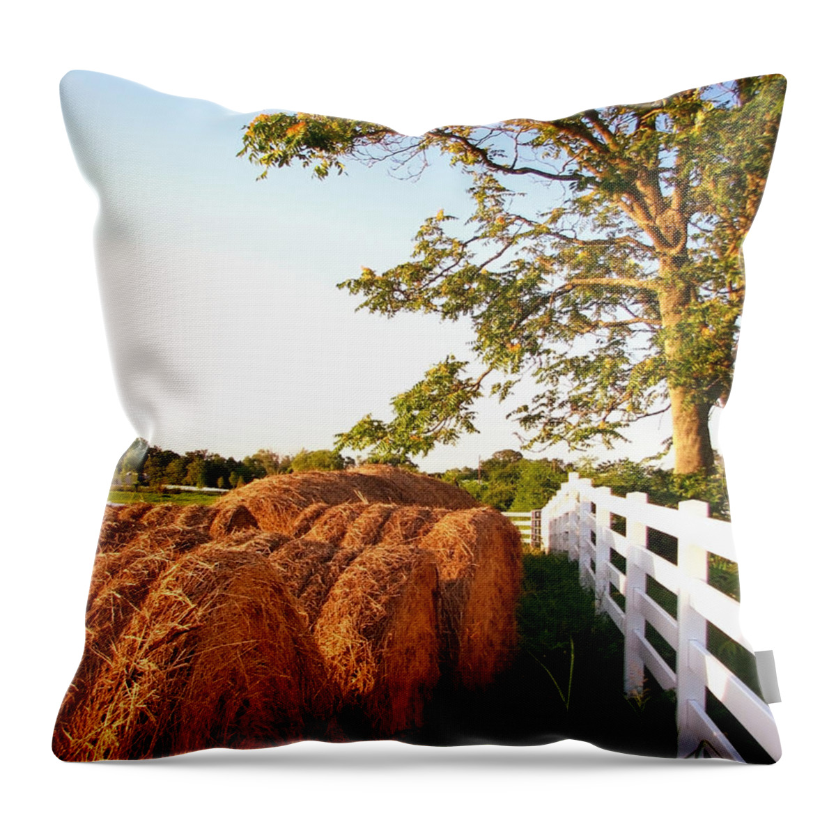 Landscape Throw Pillow featuring the photograph Side-By-Side by Todd Blanchard