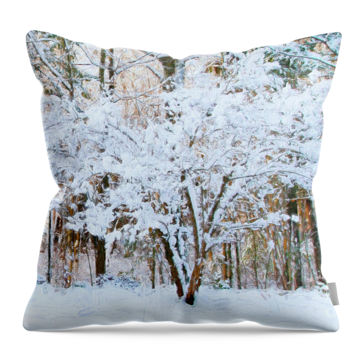 Winter Throw Pillow featuring the photograph Siebold Viburnum in Snow by Anita Pollak