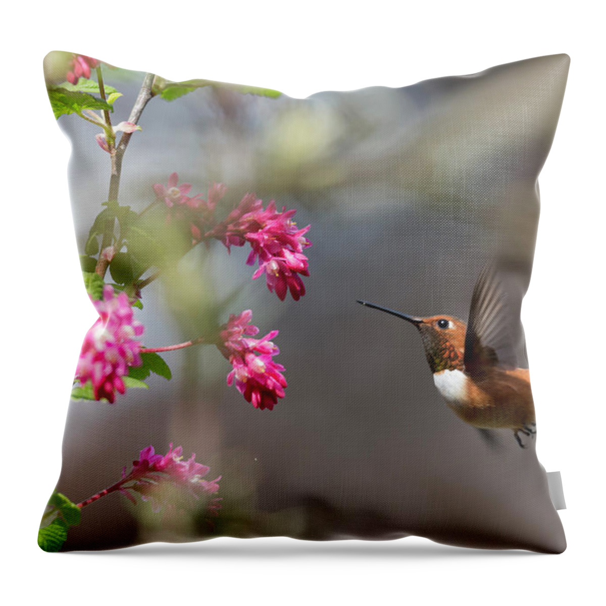 Rufous Hummingbird Throw Pillow featuring the photograph Sign Of Spring 3 by Randy Hall
